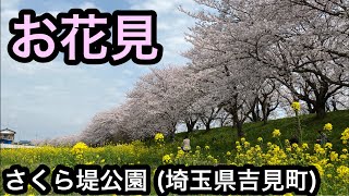 【満開】さくら堤公園へお花見♪