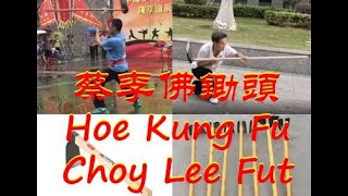 Hoe Kung Fu, Choy Lee Fut  蔡李佛锄头