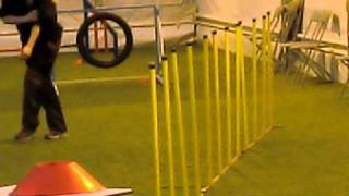 Bronsemerke agility 1/4-11