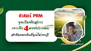 ศาสตร์ PRM จุดเริ่มต้นสู่การเจาะลึก 4 องค์ประกอบสำคัญของดินที่คุณไม่เคยรู้!