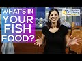 What's In Your Fish Food?! | Aquarium Nutrition with a Marine Biologist and an Aquatic Veterinarian