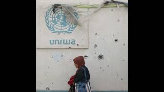 Day 389 - If UNRWA leaves Gaza, what would fill the vacuum?