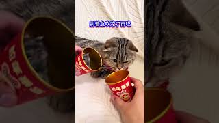 作为一个精致的宝宝，吃的也要细致！ 萌宠 猫宝宝 猫咪 仓鼠