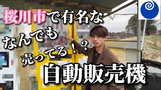 【桜川市】飲み物から食べ物まで何でも売ってる！？自動販売機を調査してきました。