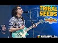 Tribal Seeds - Love Psalm @ SummerJam 2019