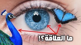 اللون الأزرق : لماذا هو مذهل؟!