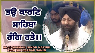 Tau Karan Sahiba Rang Rate Bhai Gurmail Singh Hazuri Ragi Ji