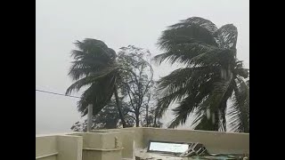 Cyclone Nisarga makes landfall; ground report from Alibagh