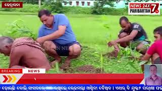 ବୃକ୍ଷ ରୋପଣ କାର୍ଯ୍ୟକ୍ରମ  Paribartan News