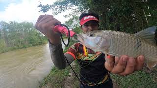 สำรวจหมายในวันน้ำนอง#ตามหาปลากระสูบ #จิ้งจอกน้ำจืด #HampalaFishing TrangKheFishing EP.4