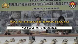 Ungkap Perdagangan Satwa Dilindungi