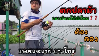 EP.7 ตกปลาม้า แพสมหมายบางไทร แม่น้ำเจ้าพระยา