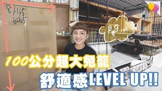 100公分超大兔籠開箱！兔兔居家LEVEL UP，豪宅就此誕生！｜兩隻胖兔兔 侑敏yomin