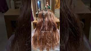 JJHAIRSALON |黑茶色｜蓋白髮髮色