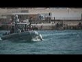 Migrants arrive in Lampedusa from north Africa