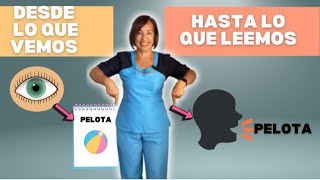 Pasos del PROCESO LECTOR_Como LEEN los NIÑOS