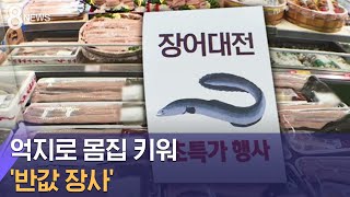 억지로 몸집 키워 '반값 장사'…장어 어가의 한숨 / SBS