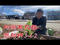 【渔耕笔记】种草莓 春季草莓 种植床 修剪养护 有机种植 高产妙招