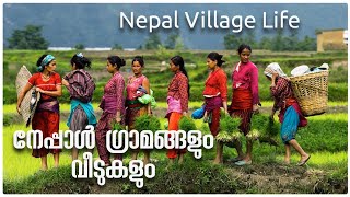 Nepal village life | Nepal Village Tourism | Traditional Home in Nepal | Agricultural land in Nepal