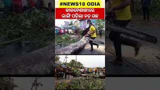 Bhubaneswar ଓ Cuttackରେ କାଳବୈଶାଖୀ ବର୍ଷା , ଘଡ଼ଘଡ଼ି ବିଜୁଳି ସହ ପ୍ରବଳ ଧୂଳି ଝଡ଼ | Odisha Weather Update