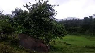 5 acre agri land in Chikkamagaluru