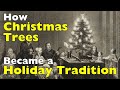 How Christmas Trees Became a Holiday Tradition