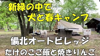 オヤジの犬連れキャンプ：新緑の備北オートビレッジの朝