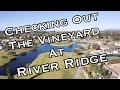 Ready Golf, Ep  20 River Ridge Vineyard Course Vlog Part 1