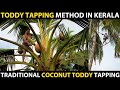 COCONUT TODDY TAPPING METHOD IN KERALA | Coconut Toddy making Process