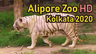 Alipore Zoo Kolkata 2020 (FULL HD)