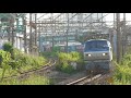 【x1500】ef66 100番台 6編成 朝の浜川崎 小田栄 101号機も2編成 2020 10 3 4k@60fps panasonic x1500 dji ronin sc