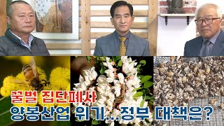 [푸드TV] '꿀벌집단폐사' 양봉산업에 닥친 위기...꿀벌 살리기 대책은?