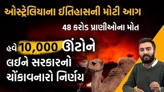 ઓસ્ટ્રેલિયાના ઈતિહાસની મોટી આગ, હવે 10000 ઊંટોને લઈને સરકારનો ચોંકાવનારો નિર્ણય | Ek Vaat Kau