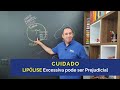 Cuidado Lipólise Excessiva pode ser Prejudicial! Metabolismo de Gordura | Bioenergética Muscular