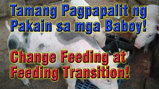 Tamang Pagpapalit ng pakain sa Baboy (Feeding Transition)