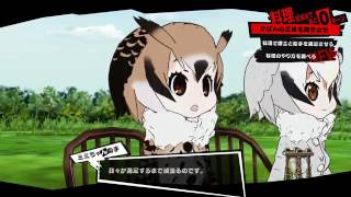 【けもフレ×P5】料理を作れず総攻撃フィニッシュでボコられるフレンズ③   niconico動畫GINZA