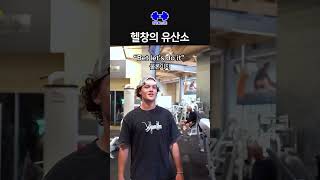 헬창의 유산소