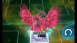 【パズルデュエル攻略】ブレイジング・ローズ★2★3【遊戯王デュエルリンクス】Yu-Gi-Oh Duel Links Puzzle Duel   BLAZING ROSE