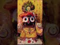 #jayjagannath#  💗odia bhajana 💗 # 💫short video 💫 # 🙏He maha prabhu 🙏# ✨🌺🪔🌺✨