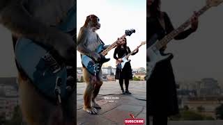 Viral Monyet Main Gitar di Los Angeles #empudstudiogrup #shorts