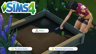 How To Make A Garden 2023 (Plant Seeds Beginner's Guide) - The Sims 4