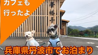 【わんこと旅行vlog】兵庫県丹波市　わんこと行けるスポットを紹介　華格子宿泊