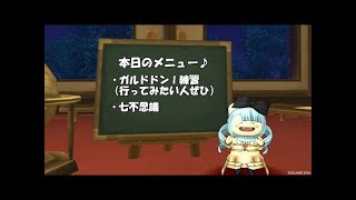 みぃのドラクエ10　ガルドドンⅠ（行ってみたい人ぜひ）七不思議とか　行けたらゼルメア