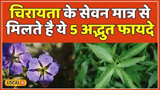 Chirata Benefits: Diabetes समेत कई समस्याओं को ख़त्म कर देती है ये औषधि, जानें इसके फायदे | #local18