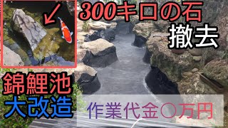 【錦鯉池を丸ごと大改善】作業代金は！？【野池の様子、預かり高級鯉２０匹】　#錦鯉　#koi　#ปลาคราฟ　自宅池　濾過槽　#diy #アクアリウム　#koi pond　#左官