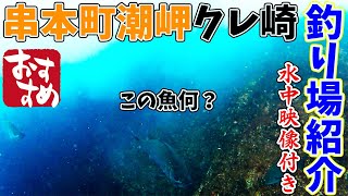 【釣り場紹介】和歌山県 串本町 潮岬【クレ崎】おすすめ、グレ、アオリイカ、シイラ、青物、石鯛等が釣れるポイント　水中映像有り