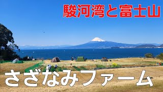 【静岡県】駿河湾で海キャンプ【にしうらさざなみファームキャンプ場】【ソロキャンプ】