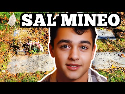 The GRAVE & What HAPPENED To SAL MINEO Tragic MURDER Of Young STAR