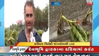 Harvesting of banana cultivation in Mangrol through hurricanes ॥ Sandesh News TV | Cyclone Tauktae