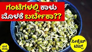 ಗಂಟೆಗಳಲ್ಲೇ ಬೇಗ ಕಾಳು ಮೊಳಕೆ ಬರ್ಬೇಕಾ? | EASY WAY TO MAKE SPROUTS AT HOME #MOLAKEKATTUVAVIDHANAINKANNADA